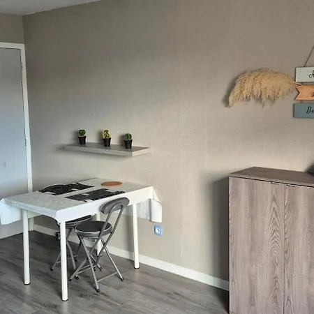 公寓 Asphodele, Joli Avec Parking, 2 Pas Des Plages Et Du Port *