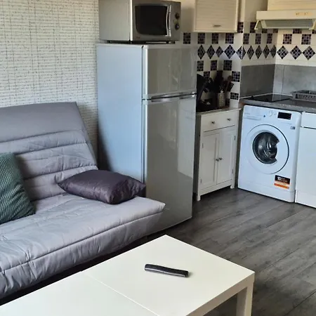 公寓 Asphodele, Joli Avec Parking, 2 Pas Des Plages Et Du Port 阿格德